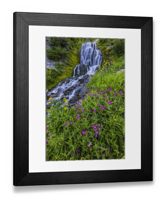 Framed Print : Wildflowers along Vidae Falls in Crater Lake National Park, Oregon, USA Framed Print : Wildflowers along Vidae Falls in Crater Lake National Park, Oregon, USA