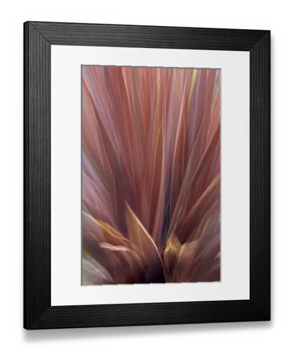 Framed Print : USA, Oregon, Portland. Abstract of red flax plant Framed Print : USA, Oregon, Portland. Abstract of red flax plant