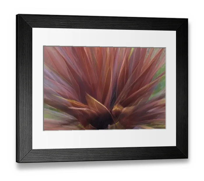 Framed Print : USA, Oregon, Portland. Abstract of red flax plant Framed Print : USA, Oregon, Portland. Abstract of red flax plant