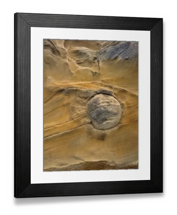 Framed Print : USA, Oregon, Shore Acres State Park. Round rock embedded in sandstone. Credit as Framed Print : USA, Oregon, Shore Acres State Park. Round rock embedded in sandstone. Credit as