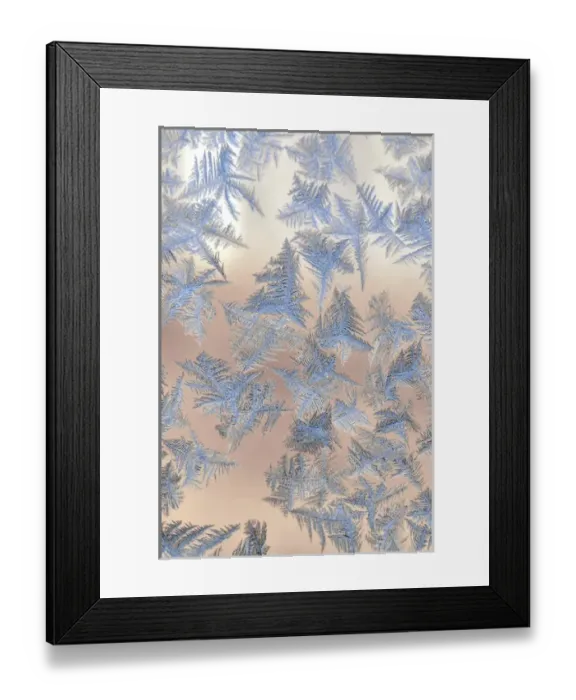 Framed Print : USA, Oregon, Portland. Ice crystals on window pane Framed Print : USA, Oregon, Portland. Ice crystals on window pane
