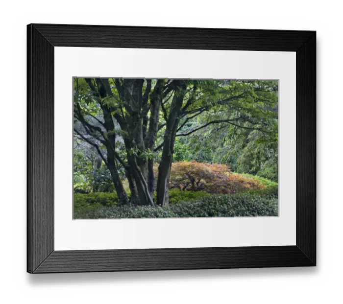 Framed Print : USA, Oregon, Portland, Portland Japanese Garden scenic Framed Print : USA, Oregon, Portland, Portland Japanese Garden scenic