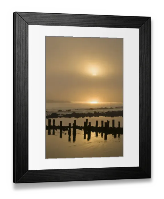 Framed Print : USA, Oregon. Foggy sunrise on Bandon Beach pilings