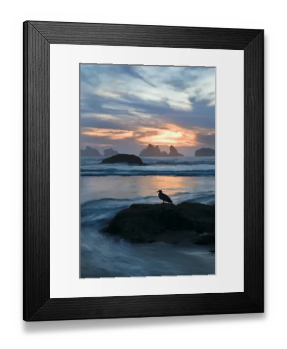 Framed Print : USA, Oregon, Bandon Beach. Seagull silhouette on coastline rock at sunset. Credit as