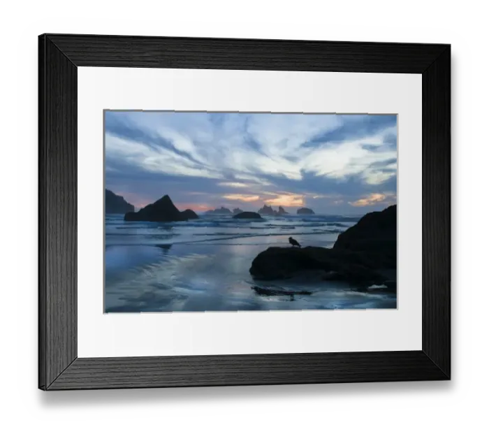 Framed Print : USA, Oregon, Bandon Beach. Seagull silhouette on coastline rock at sunset