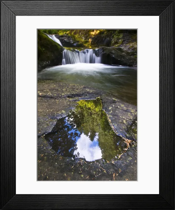 Framed Print : USA, Oregon, Sweet Creek. Trees and clouds reflect in Puddle Framed Print : USA, Oregon, Sweet Creek. Trees and clouds reflect in Puddle