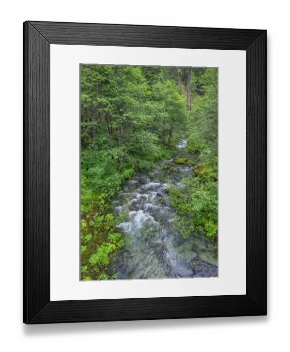 Framed Print : USA, Oregon, Willamette National Forest, Opal Creek Scenic Recreation Area, Battle Framed Print : USA, Oregon, Willamette National Forest, Opal Creek Scenic Recreation Area, Battle