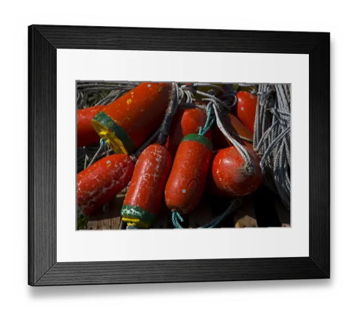 Framed Print : USA, Oregon, Garibaldi. Red and green crab pot buoys and ropes Framed Print : USA, Oregon, Garibaldi. Red and green crab pot buoys and ropes