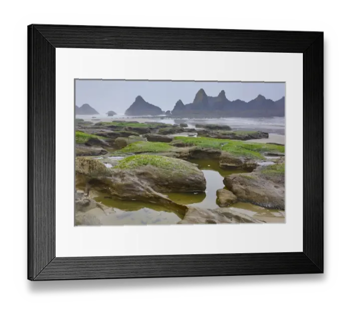 Framed Print : USA, Oregon, Seal Rock State Park. Rocky beach at low tide Framed Print : USA, Oregon, Seal Rock State Park. Rocky beach at low tide