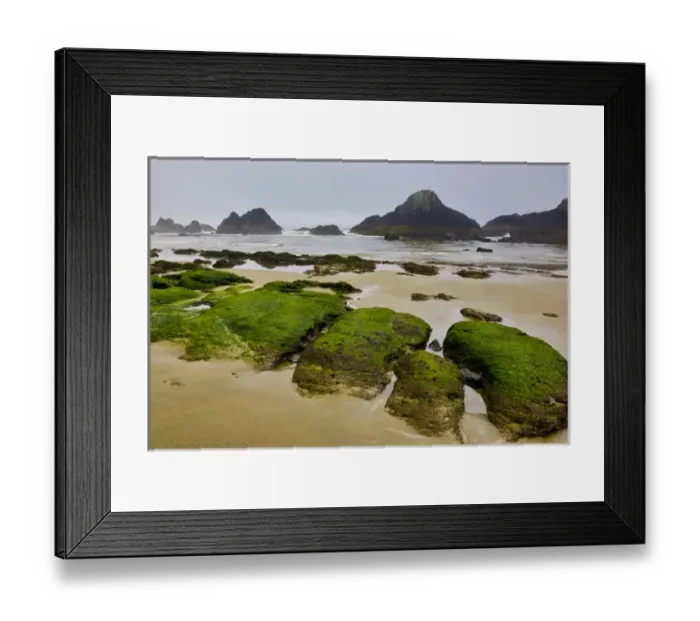 Framed Print : USA, Oregon, Seal Rock State Park. Rocky beach at low tide Framed Print : USA, Oregon, Seal Rock State Park. Rocky beach at low tide