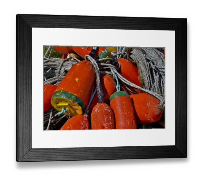 Framed Print : USA, Oregon, Garibaldi. Colorful crab pot buoys