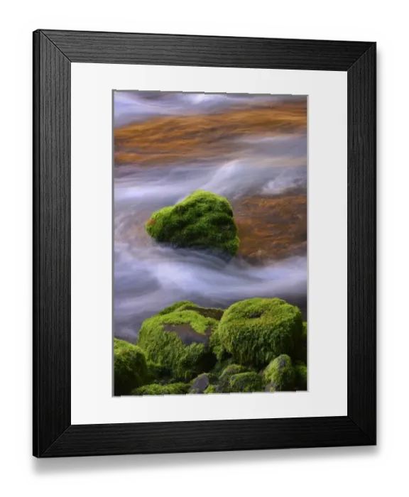 Framed Print : USA, Oregon, Willamette National Forest. McKenzie River flowing over moss-covered rocks Framed Print : USA, Oregon, Willamette National Forest. McKenzie River flowing over moss-covered rocks