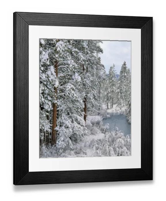 Framed Print : USA, Oregon. Fresh snowfall along Warm Springs River Framed Print : USA, Oregon. Fresh snowfall along Warm Springs River