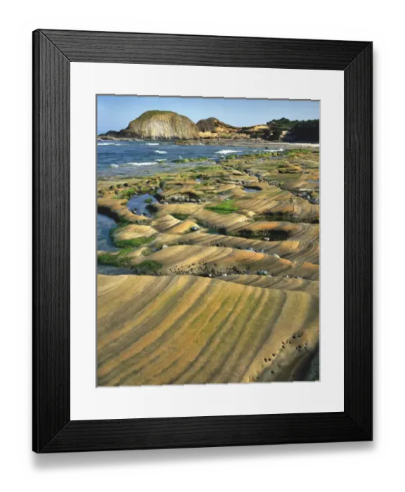 Framed Print : USA, Oregon, Seal Rock Sate Park. Patterns on sandstone rock