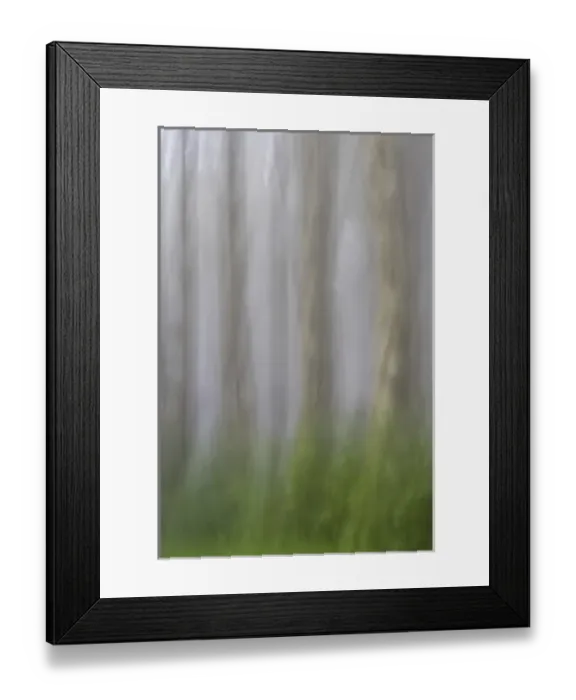 Framed Print : USA, Oregon, Florence. Forest abstract. Credit as: Jay O Brien  /  Jaynes Gallery