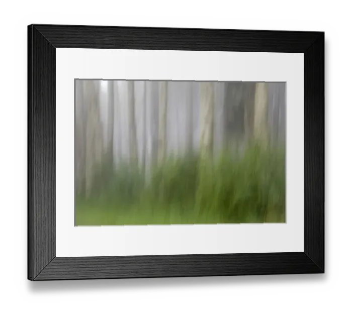 Framed Print : USA, Oregon, Florence. Forest abstract. Credit as: Jay O Brien / Jaynes Gallery Framed Print : USA, Oregon, Florence. Forest abstract. Credit as: Jay O Brien / Jaynes Gallery