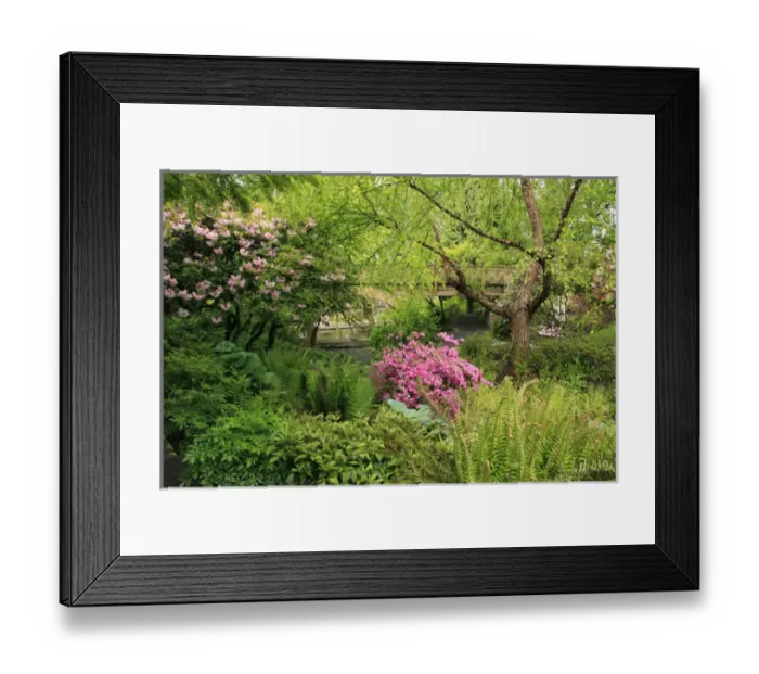 Framed Print : USA, Oregon, Portland. Crystal Springs Rhododendron Garden scenic Framed Print : USA, Oregon, Portland. Crystal Springs Rhododendron Garden scenic