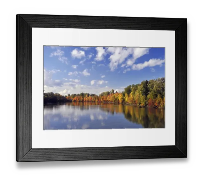 Framed Print : USA, Oregon, Portland. Johnson Lake and waterfowl in autumn Framed Print : USA, Oregon, Portland. Johnson Lake and waterfowl in autumn