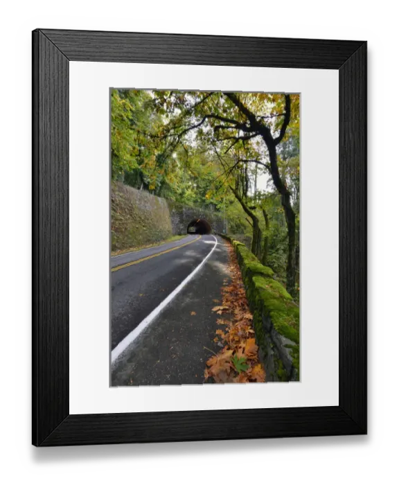 Framed Print : USA, Oregon, Portland. Macleay Park and road in autumn Framed Print : USA, Oregon, Portland. Macleay Park and road in autumn