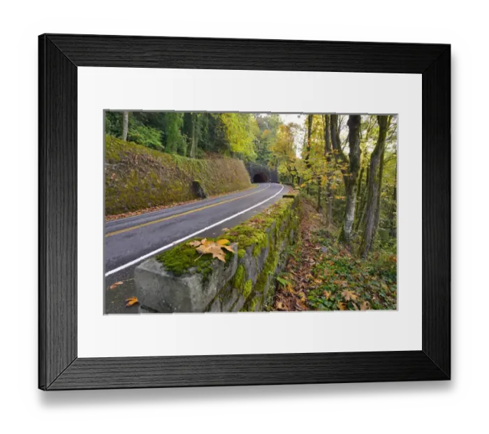 Framed Print : USA, Oregon, Portland. Macleay Park and road in autumn Framed Print : USA, Oregon, Portland. Macleay Park and road in autumn