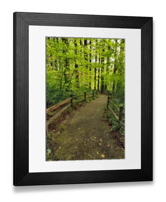 Framed Print : USA, Oregon, Portland. Trail to historic site of The Willamette Stone. Credit as Framed Print : USA, Oregon, Portland. Trail to historic site of The Willamette Stone. Credit as
