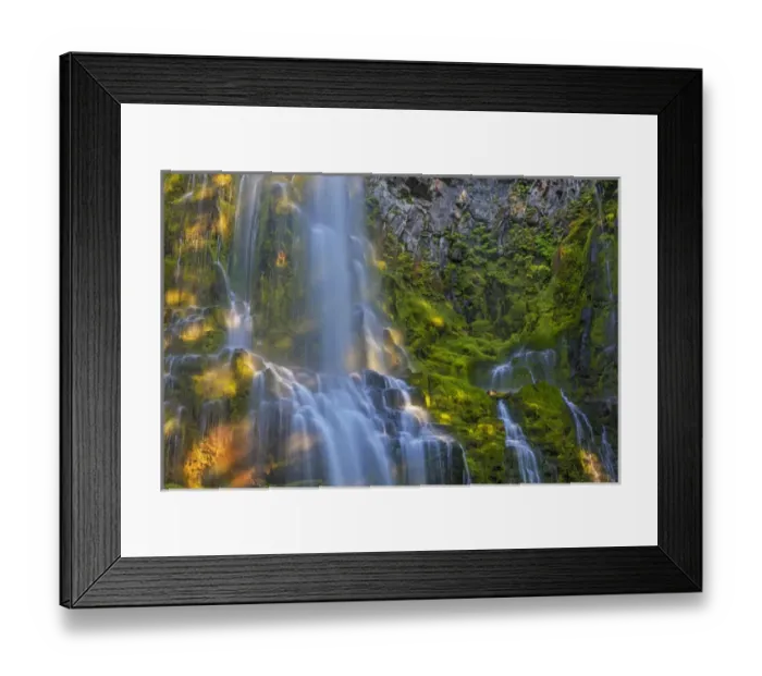 Framed Print : Proxy Falls in the Three Sisters Wilderness, Oregon, USA Framed Print : Proxy Falls in the Three Sisters Wilderness, Oregon, USA