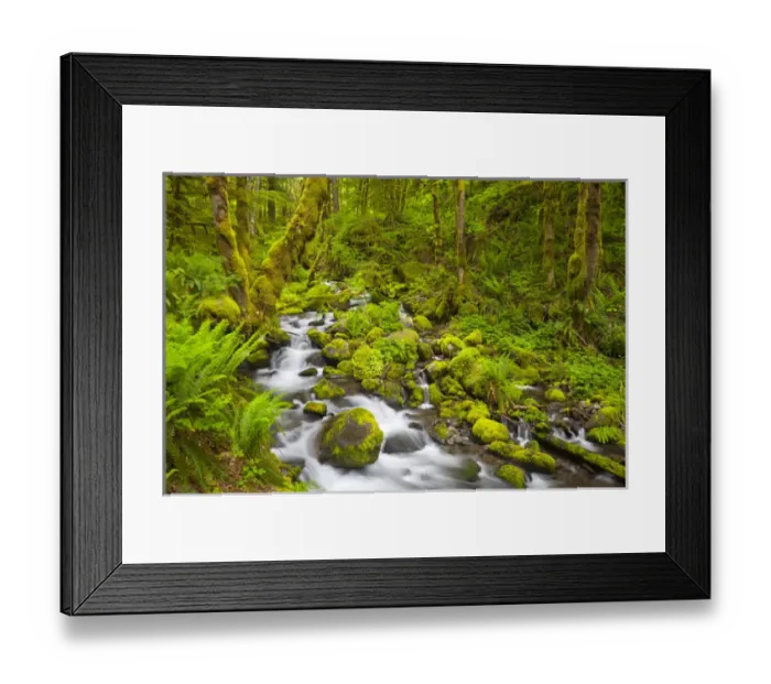 Framed Print : USA, Oregon. Ruckle Creek in springtime, in the Columbia Gorge, Oregon Framed Print : USA, Oregon. Ruckle Creek in springtime, in the Columbia Gorge, Oregon