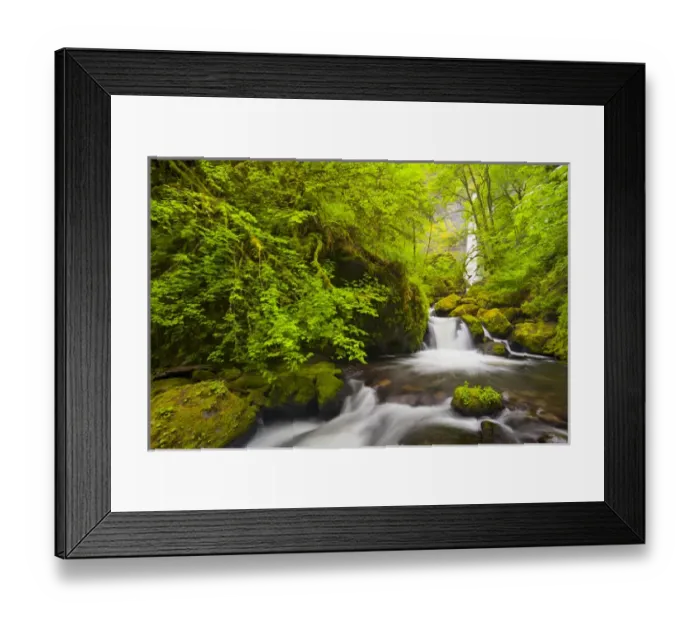 Framed Print : USA, Oregon. Lovely Elowah Falls on McCord Creek in the spring, in the Columbia Gorge, Oregon