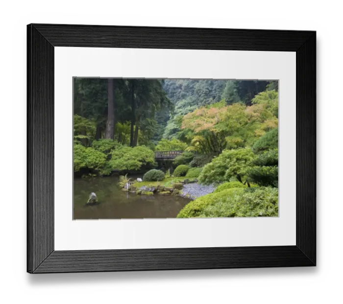 Framed Print : The Strolling Pond with Moon Bridge in the Japanese Garden, Portland, Oregon Framed Print : The Strolling Pond with Moon Bridge in the Japanese Garden, Portland, Oregon