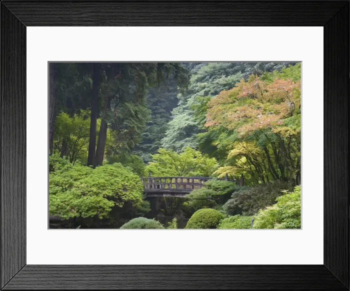 Framed Print : The Strolling Pond with Moon Bridge in the Japanese Garden, Portland, Oregon