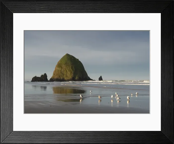Framed Print : Haystack Rok on Cannon Beach, Oregon Framed Print : Haystack Rok on Cannon Beach, Oregon