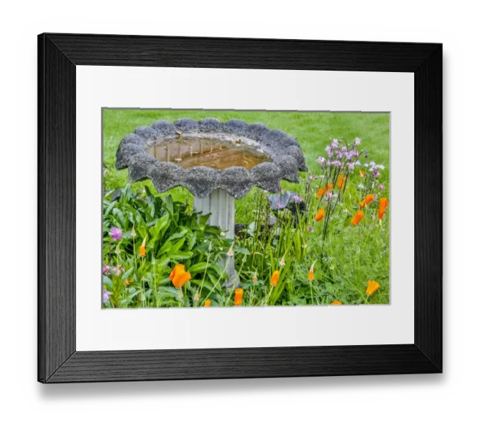 Framed Print : USA, Oregon, Cannon Beach, Flowers and Birdbath Framed Print : USA, Oregon, Cannon Beach, Flowers and Birdbath