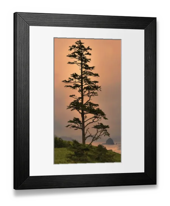 Framed Print : USA, Oregon, Newport, Oregon Coast
