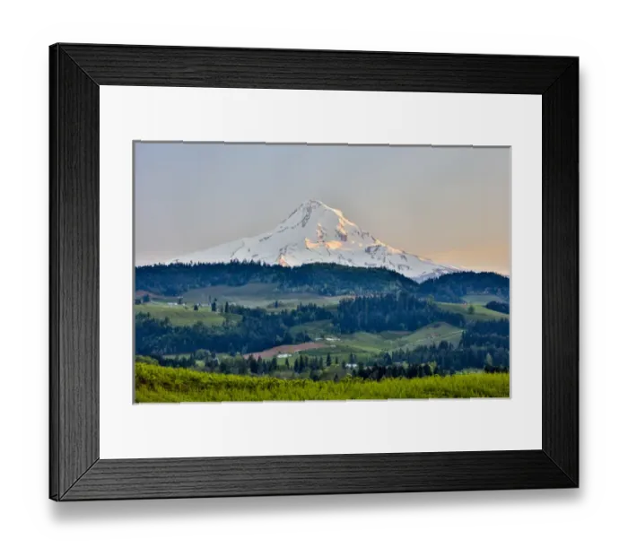 Framed Print : United States, Oregon, Columbia River Gorge, Mt. Hood Landscape