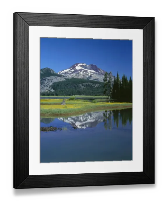 Framed Print : USA, Oregon, Deschutes National Forest, Leafy arnica blooms on an island in Sparks