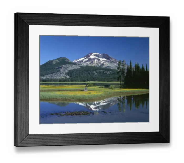 Framed Print : USA, Oregon, Deschutes National Forest, Leafy arnica blooms on an island in Sparks