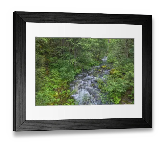Framed Print : USA, Oregon, Willamette National Forest, Opal Creek Scenic Recreation Area, Battle Framed Print : USA, Oregon, Willamette National Forest, Opal Creek Scenic Recreation Area, Battle