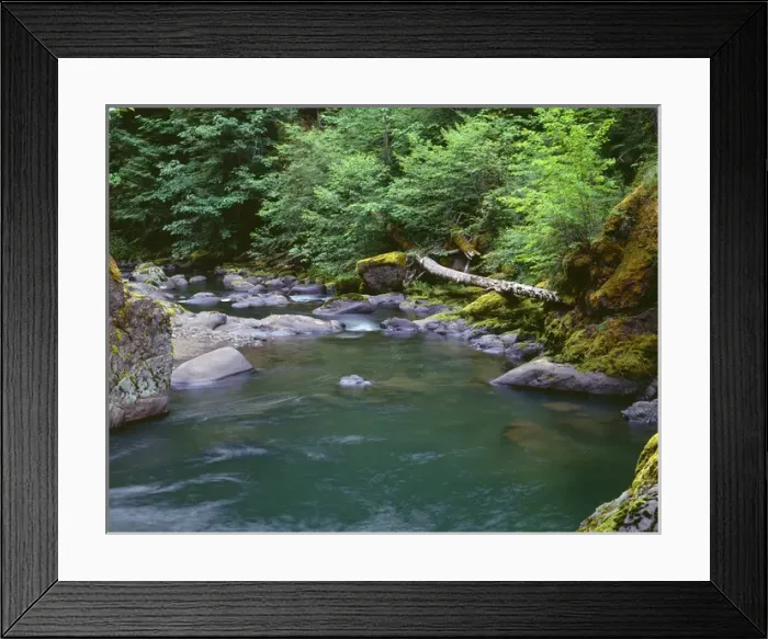 Framed Print : USA, Oregon, Willamette National Forest, Middle Santiam Wilderness, Deep, green pool Framed Print : USA, Oregon, Willamette National Forest, Middle Santiam Wilderness, Deep, green pool