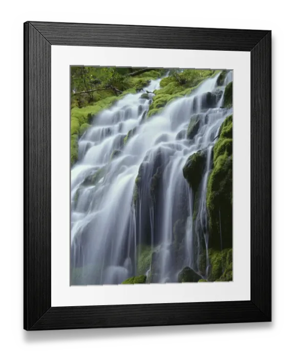Framed Print : USA, Oregon, Willamette National Forest, Three Sisters Wilderness, Upper Proxy Falls Framed Print : USA, Oregon, Willamette National Forest, Three Sisters Wilderness, Upper Proxy Falls
