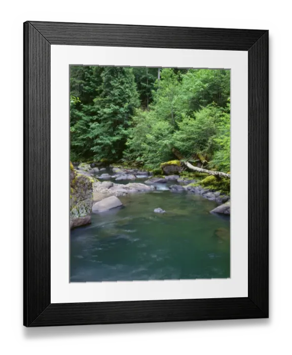 Framed Print : USA, Oregon, Willamette National Forest, Middle Santiam Wilderness, Deep, green pool Framed Print : USA, Oregon, Willamette National Forest, Middle Santiam Wilderness, Deep, green pool