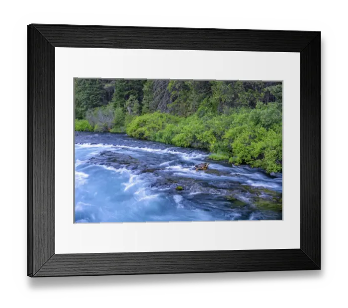 Framed Print : USA, Oregon, Deschutes National Forest, Wizard Falls and summer vegetation along Framed Print : USA, Oregon, Deschutes National Forest, Wizard Falls and summer vegetation along
