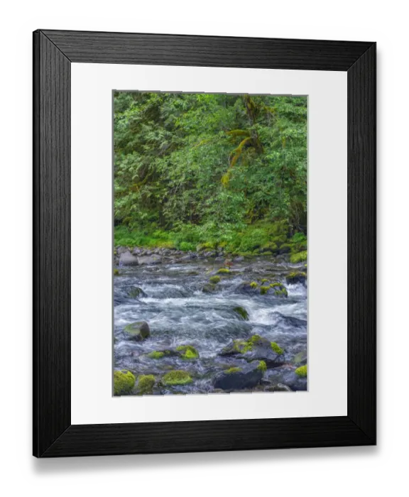 Framed Print : USA, Oregon, Mount Hood National Forest, Salmon-Huckleberry Wilderness, Lush spring Framed Print : USA, Oregon, Mount Hood National Forest, Salmon-Huckleberry Wilderness, Lush spring