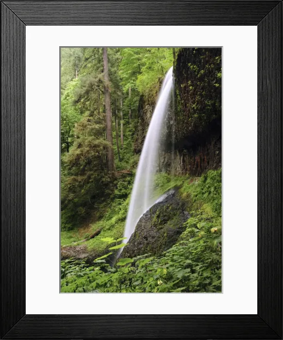 Framed Print : North Falls, Silver Falls State Park, Oregon, USA