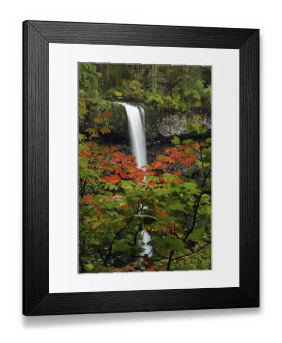 Framed Print : South Falls in Autumn, Silver Falls State Park, Oregon, USA