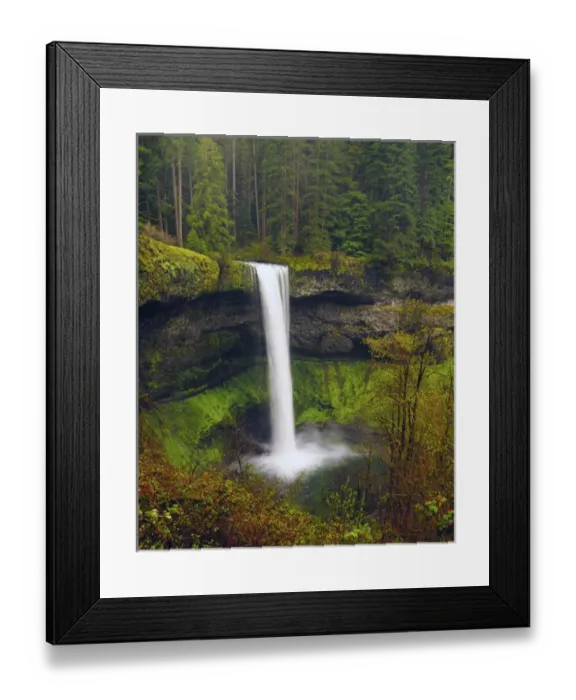 Framed Print : South Falls in Spring: Silver Falls State Park, Oregon, USA