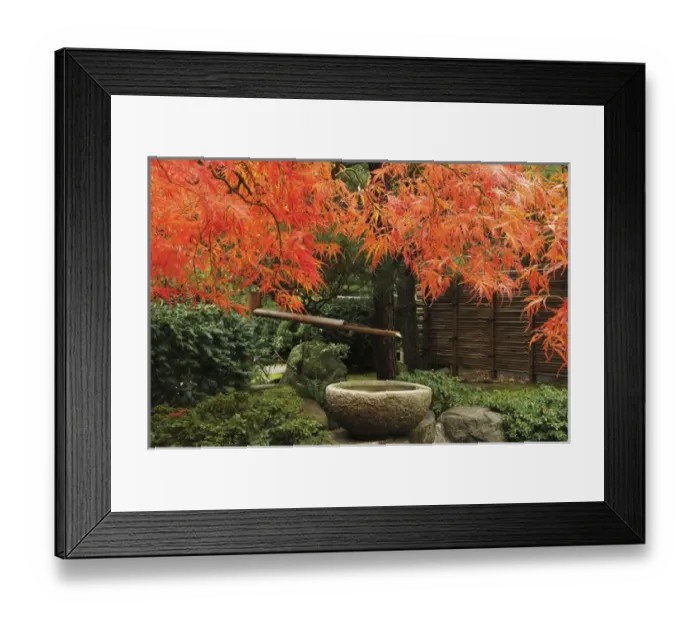 Framed Print : Portland Japanese Garden in Autumn; Portland; Oregon; USA