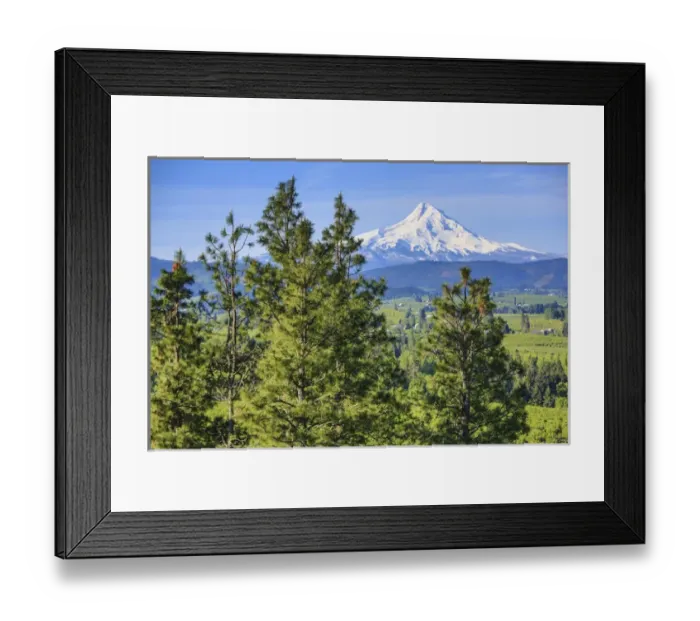 Framed Print : Hood River, Oregon. Snow Covered Mount Hood, Orchard Valley, and Pine Trees Framed Print : Hood River, Oregon. Snow Covered Mount Hood, Orchard Valley, and Pine Trees