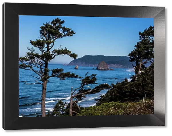 Cannon Beach, Oregon. Weathered Pines, Haystack Mountains, and the Pacific Ocean Coast