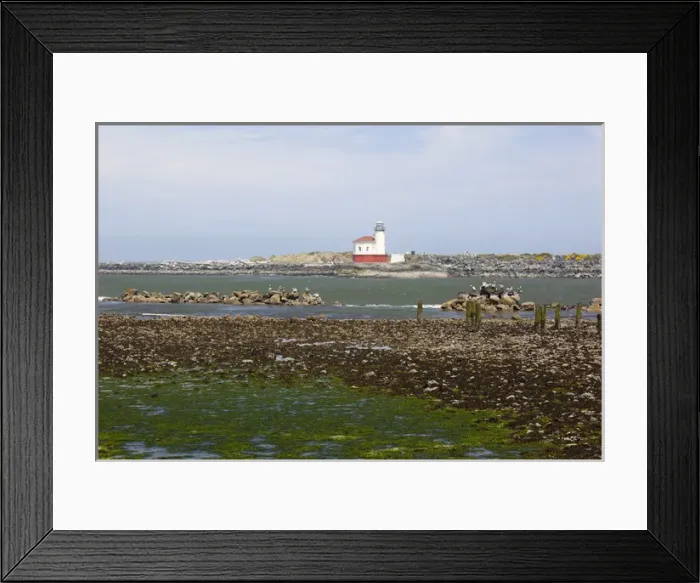 Framed Print : OR, Oregon Coast, Bandon, Coquille River lighthouse, built in 1896, last lighthouse Framed Print : OR, Oregon Coast, Bandon, Coquille River lighthouse, built in 1896, last lighthouse