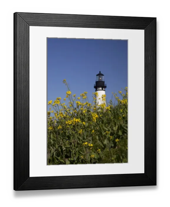 Framed Print : OR, Oregon Coast, Newport, Yaquina Head lighthouse, completed in 1873, 93 foot high Framed Print : OR, Oregon Coast, Newport, Yaquina Head lighthouse, completed in 1873, 93 foot high
